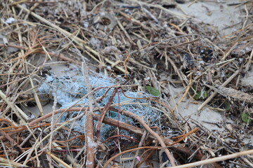 Lixo plástico abandonado na praia