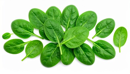 Fresh spinach leaves arranged in a vibrant, radiating pattern against a white background.