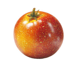A vibrant, round, orange-red fruit, speckled with tiny highlights.  A stem is attached to the top