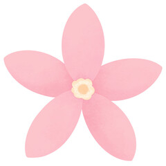 Pink pastel flower illustration. Hand drawn flower doodle clipart	
