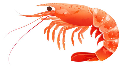 PNG Prawn lobster seafood animal.