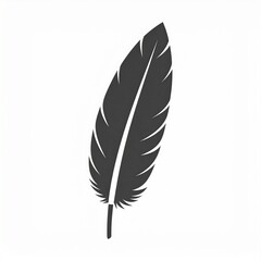 A stylized, graphic representation of a feather, showcasing its detailed structure against a plain background.