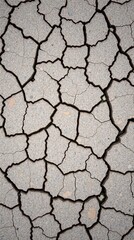 Obraz premium Cracks on the ground in the arid season abstract background.