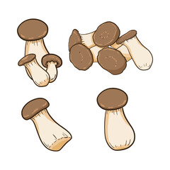 Fototapeta premium mushroom-26