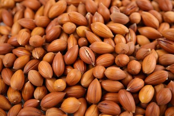 Obraz premium close up of nuts