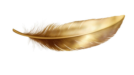 A single beautiful golden feather isolate on white background 
