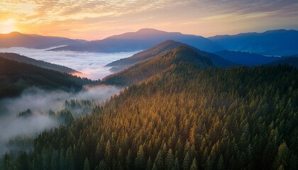 cinematic drone shot of a misty, forested mountain range at dawn, soft morning 
