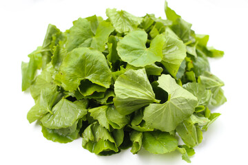 Fresh gotu kola leaves, a traditional herb used to reduce inflammation and support circulation.