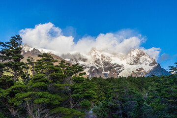 Impressive morning light on a hike up to Mirador Frances and Brittanico in Torres Del Paine...