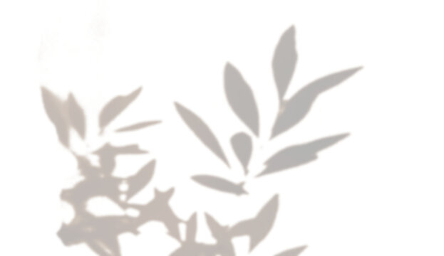 Abstract design of dark brown and gold leaves