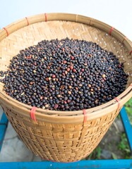 A large woven basket overflowing with dark, unroasted coffee beans
