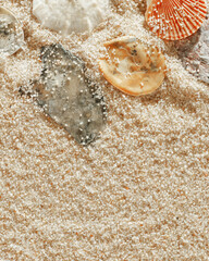 Minimal aesthetic seashells pattern on beige sand, natural sea oceanic and summer textured background, summer relaxation, top view photo with delicate pastel colored shell, rest beach wallpaper