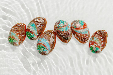 Colored close up shells floating on waves clear white sea water at sunlight. Beauty nature textured Seashells, marine life, nautical style, Minimal summer aesthetic, beach lifestyle, soft pastel color