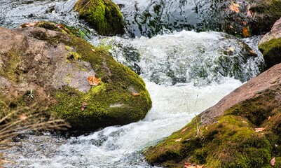 Rushing water in a small mountain river in the fall.