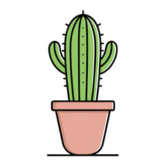 cactus isolated on white