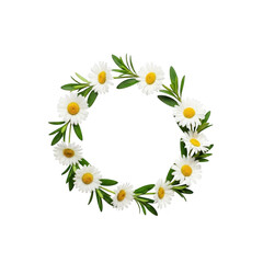 Daisy wreath isolated on transparent background