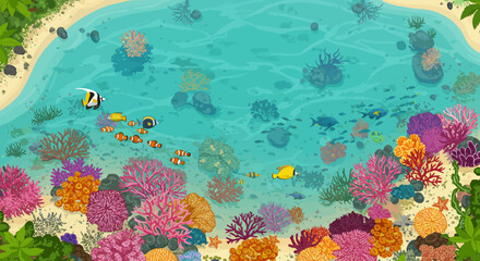 Aerial view of a vibrant coral reef with diverse fish near a sandy beach