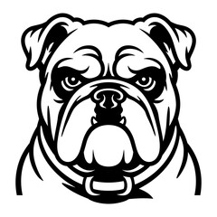English Bulldog Face