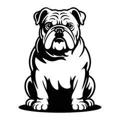English Bulldog Sitting