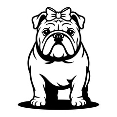 English Bulldog with Coquette Bow