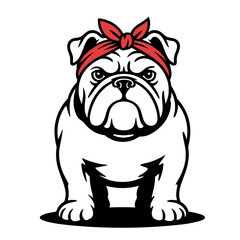 English Bulldog with Bandana