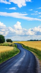 Obraz premium Winding Road Through Golden Wheat Fields Under a Bright Blue Sky with Fluffy Clouds