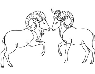 Two rams facing each other, depicted in a continuous line drawing style
