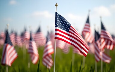 Field of Veterans Day American Flags Waving in the Breeze. High quality