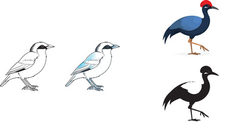 Obraz premium Set of bird vector illustrations showing different artistic styles from black and white line drawing to colored and silhouette designs