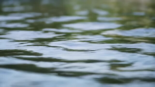 Surface of gentle waves on a pond, showing blurry reflections