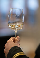 Elegant Hand Holding a Wine Glass in Soft Ambient Light Setting