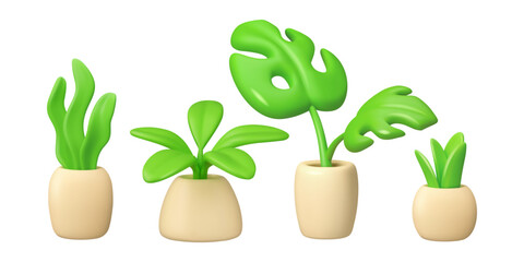 Vector 3d house plants collection. Flower in pot set. Monstera icon isolated on white background.