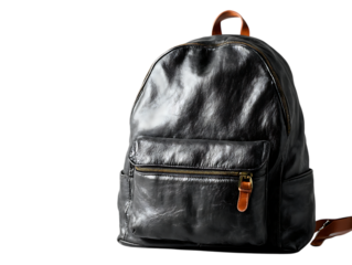 Stylish black backpack