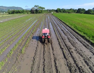 Tractor working in a flooded rice paddy