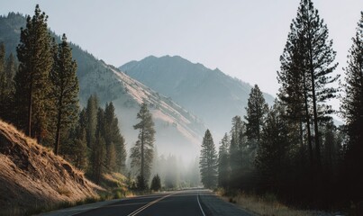 Misty mountain road through pine forest