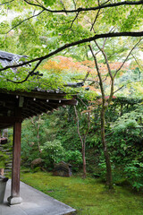 緑豊かな京都の寺院の境内の風景