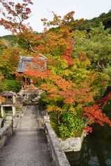 紅葉が始まった京都の寺院の庭園の風景