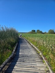Obraz premium wooden boardwalk 
