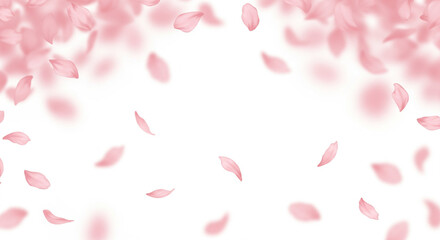 桜の花びらの背景、春の背景素材