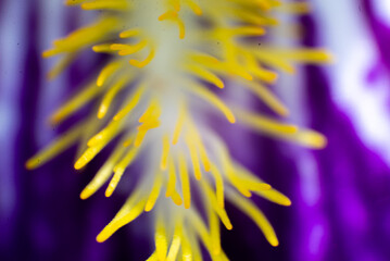 abstract colorful background