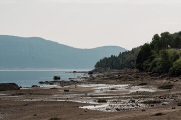 Picturesque Shoreline Revealing Textured Rocks and Scenic Mountains