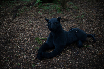A stuffed panther toy in the forest. Not a real wildcat. A toy that can scare.