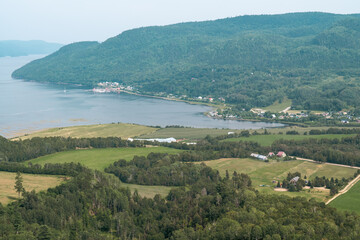 A serene view of a river winding through a lush, green landscape in summer.