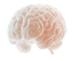 Radiant brain design with scientific elements representing mental processes on transparent background.