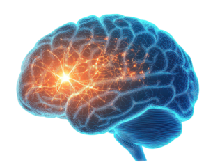 Glowing brain with neural web depicting advanced thinking and cognitive science concept.