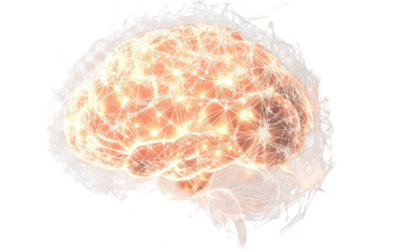 Glowing brain illustration highlighting intelligence, thought, and neural networks on clear background.