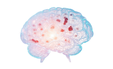 Illuminated brain image with neural pathways symbolizing intelligence and cognition on transparent background.