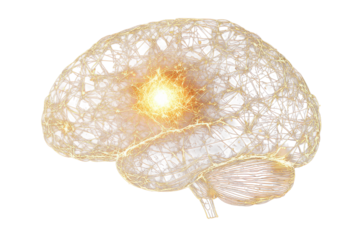 Glowing digital brain depicting mental processes, neural links, and intelligence on transparent background.