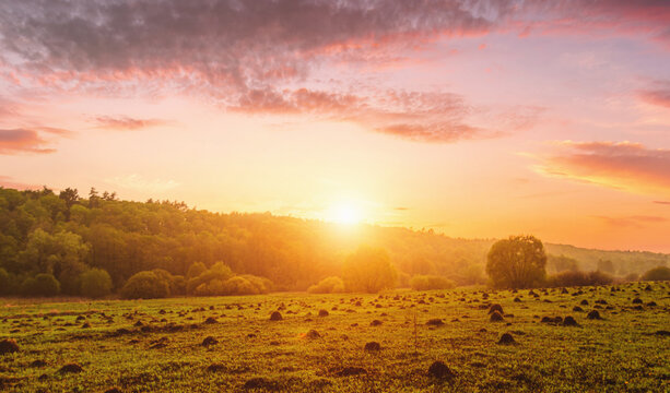 Peaceful meadow landscape with golden sunset creates serene mood. Idyllic rural scene for posters, calendars, nature themes and backgrounds. Vintage film asthetic. - Powered by Adobe