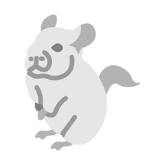 Chinchilla Vector Flat Icon Design